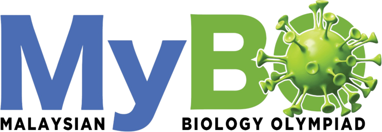 MyBO